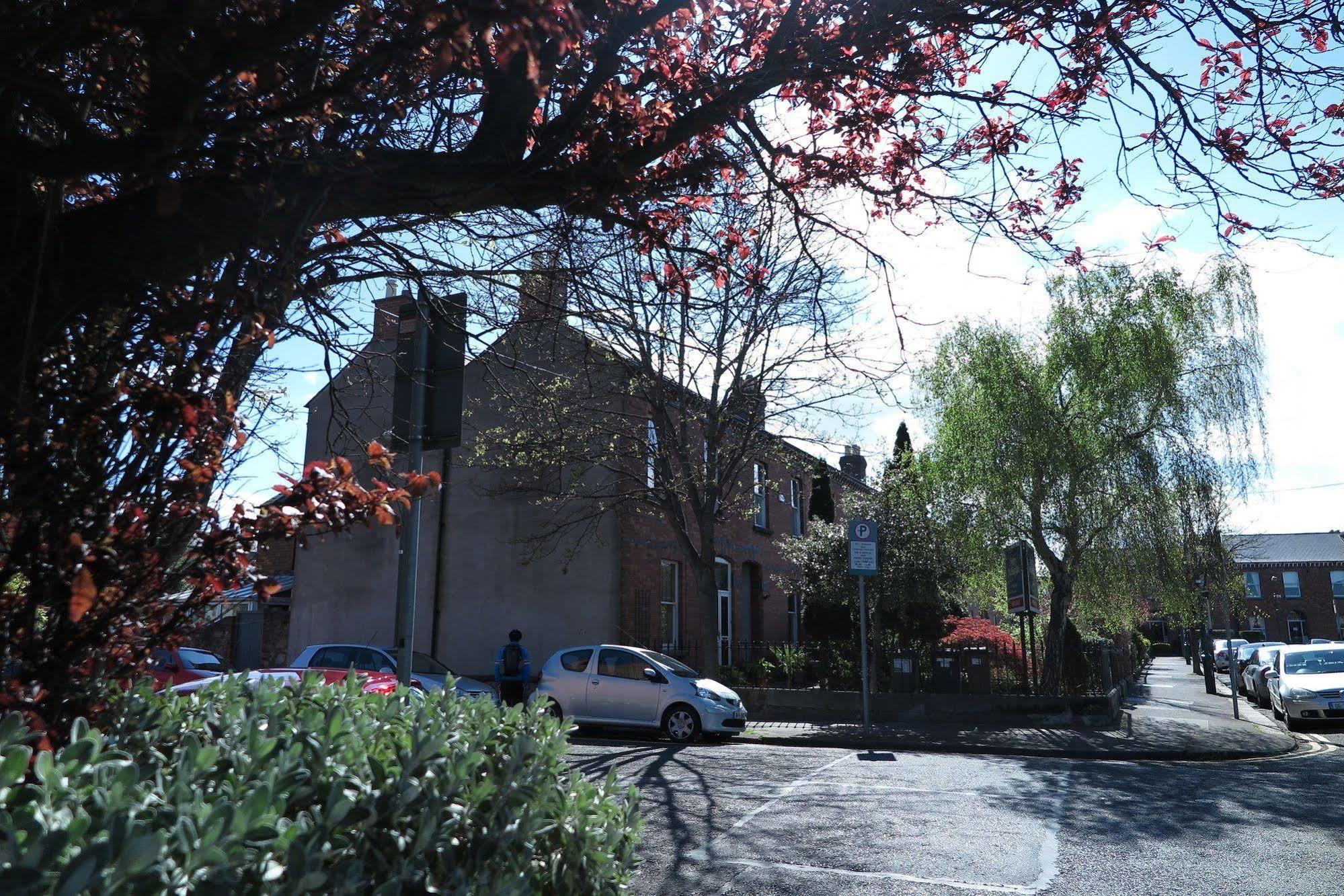 The Dublin Viking'S Place. Exterior foto